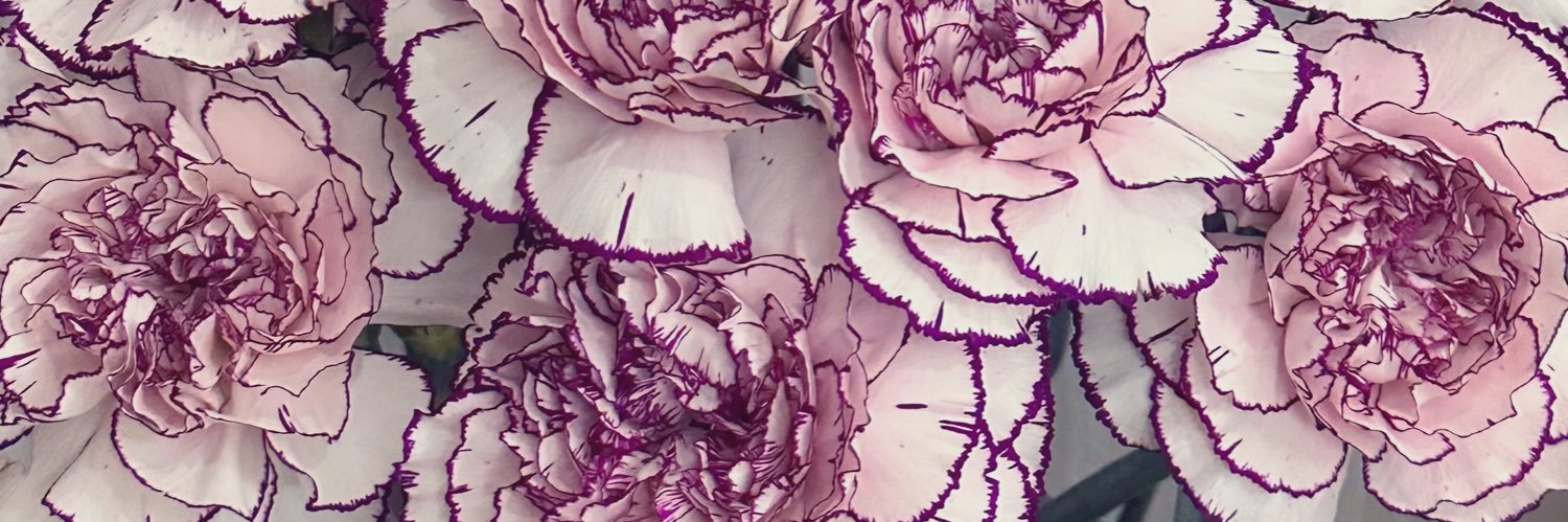 jnò banner