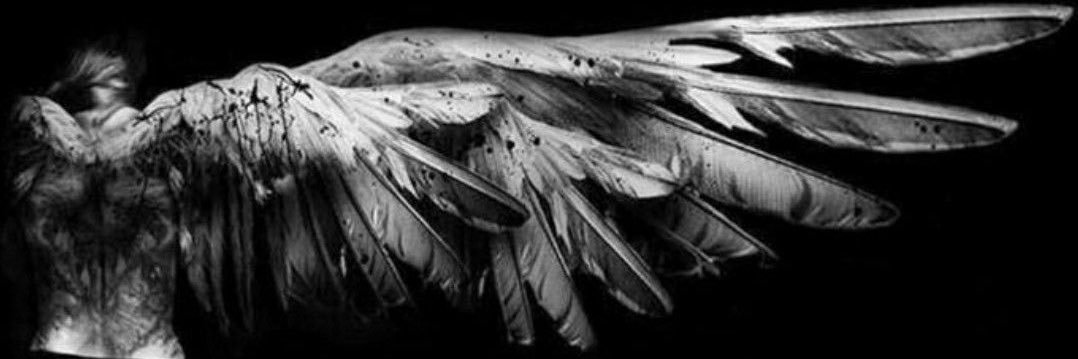 xxwj01's profile banner image