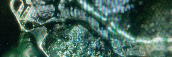 imregmelig Profile Banner