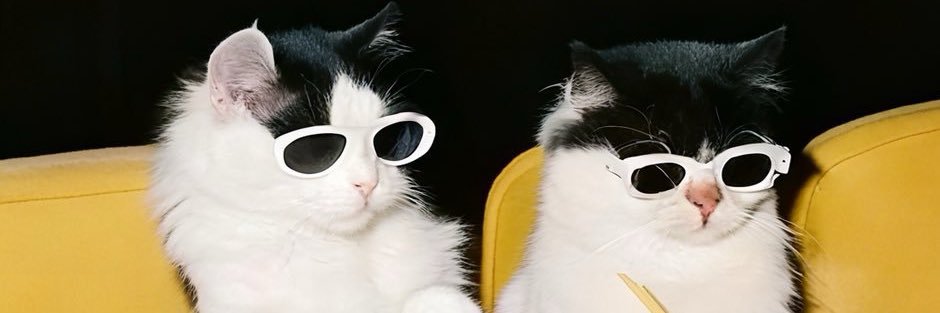 林莉 ꪔ̤̥ banner