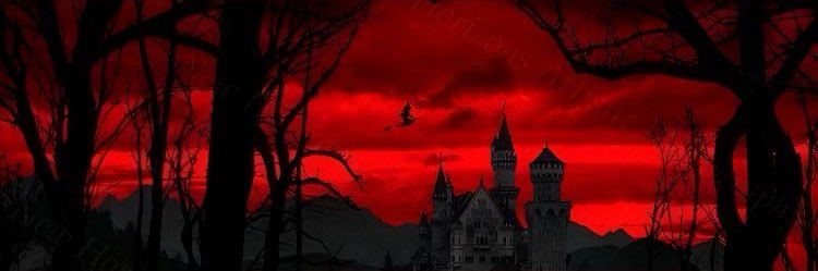 Latina Baddies 𖤐 banner