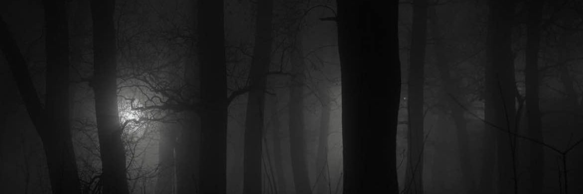 velx banner