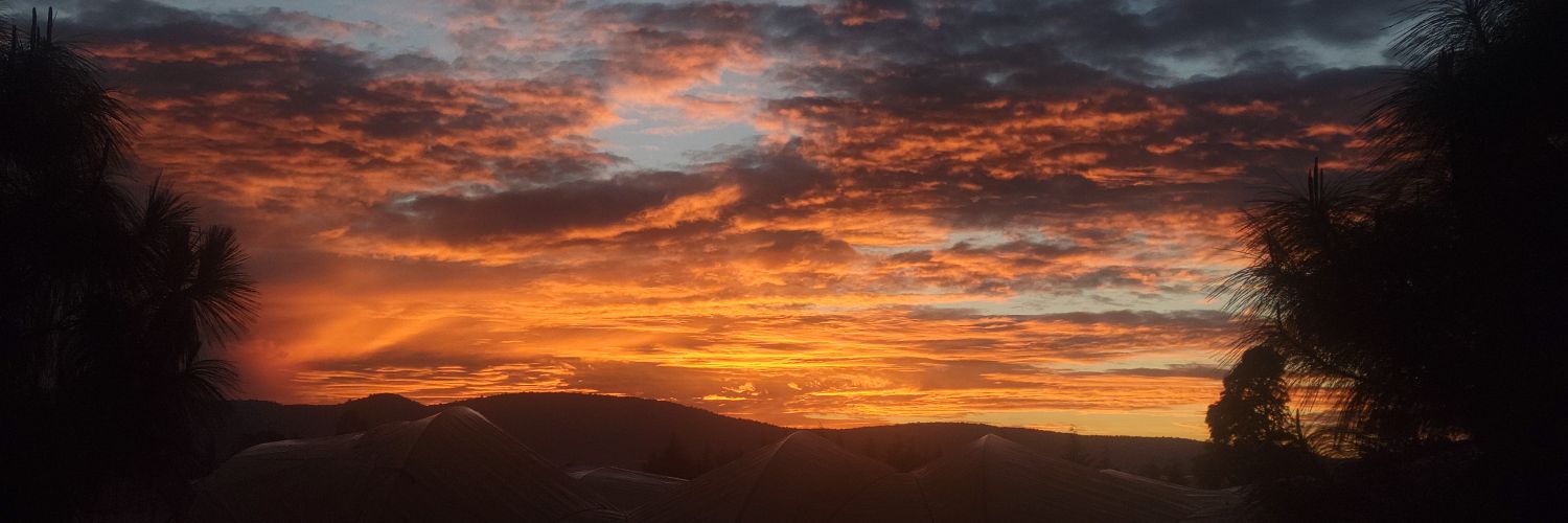 SPIRITOUSPOND banner