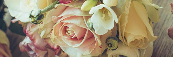 jada lynne's banner
