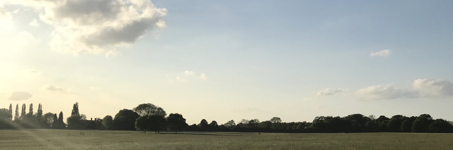 e_hamon's profile banner image