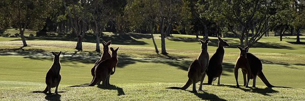 MarkEGell Profile Banner