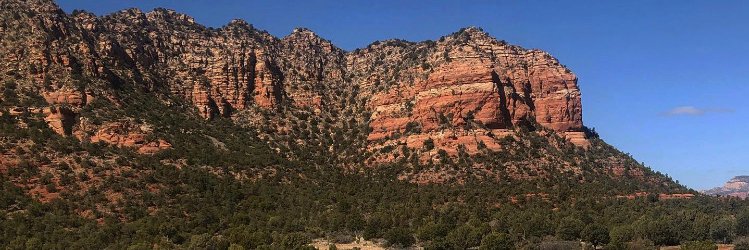 Mike Pedersen banner