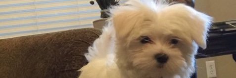 Patrickcel1's profile banner image