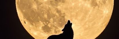 scratchnmyb_lls banner