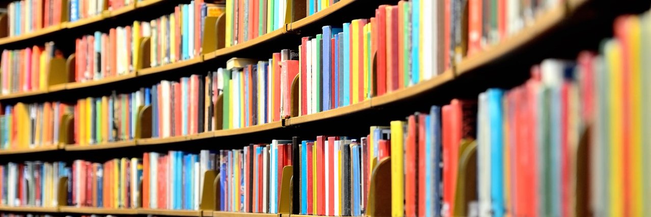 Ms. Sandy Bochese banner