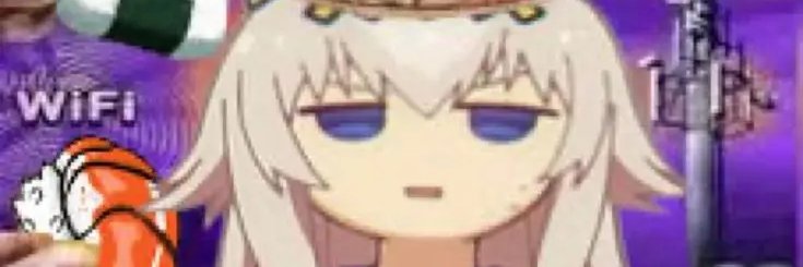 AshDotPriv's profile banner image