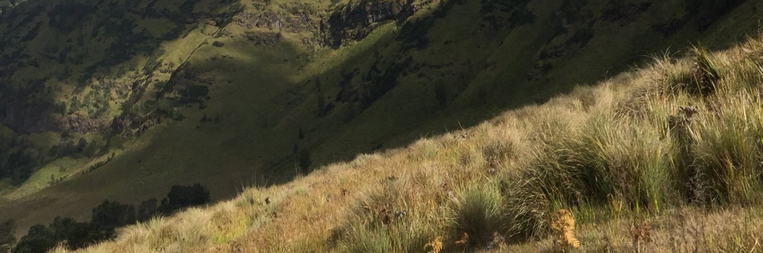ddwilistyo's profile banner image