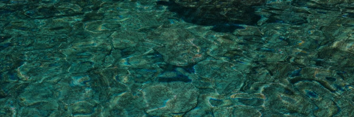 𝙂𝘼𝙍𝙂𝙊𝙔𝙇𝙀! banner