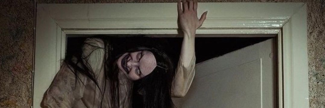 Dani banner