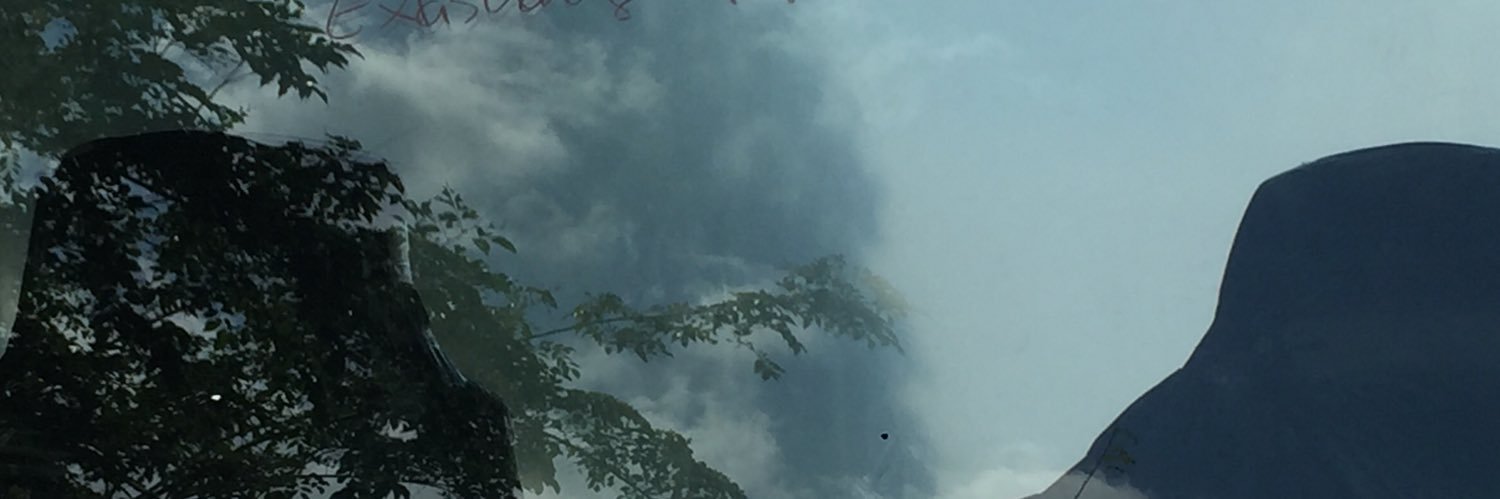 augustcious's profile banner image