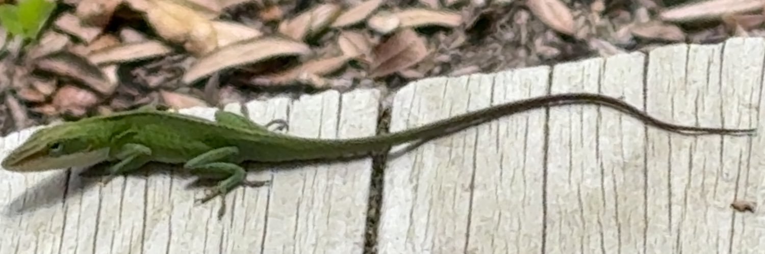 ᚪᚷᚪᚱᛏᚻᚪ banner