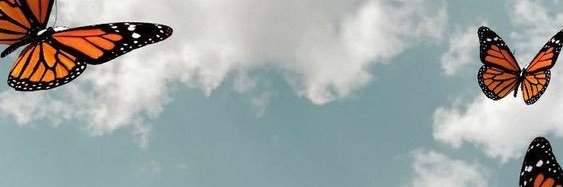 dream banner