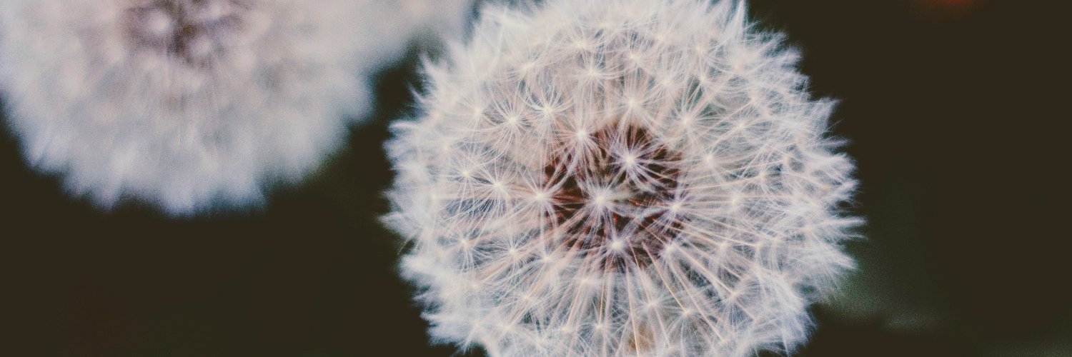 spfnd's profile banner image