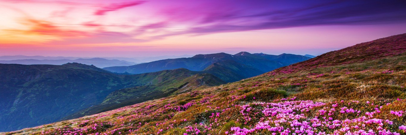 Wonderful Mind banner