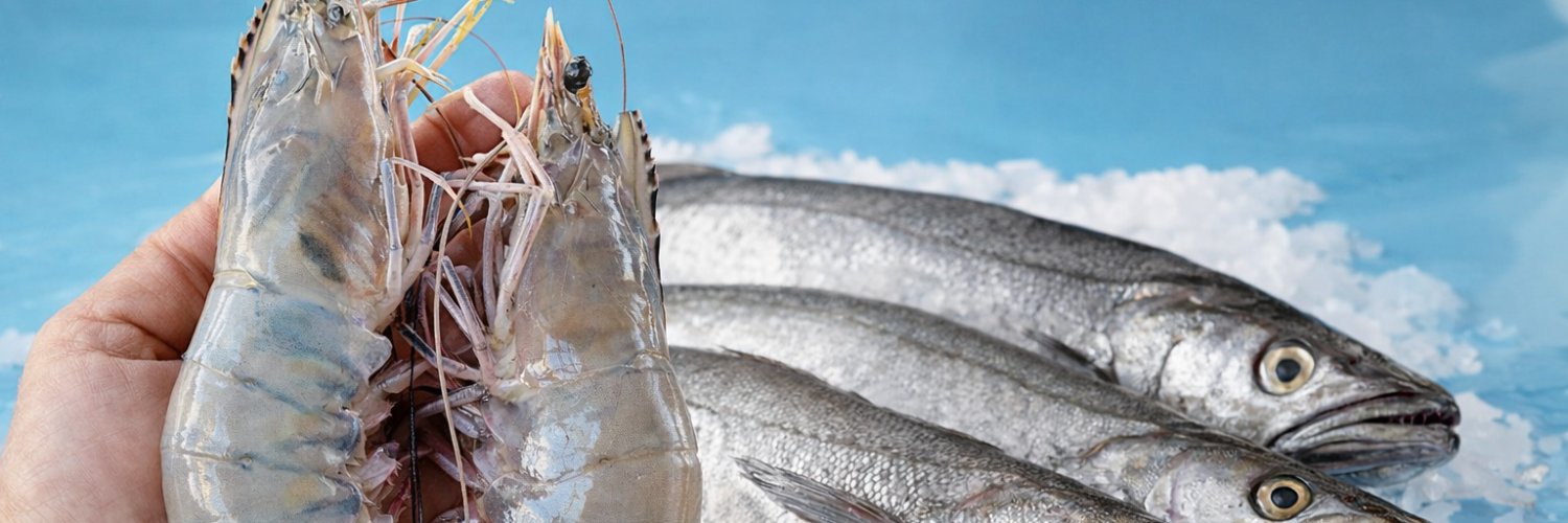 Asociación Barcos Pesqueros Polivalentes banner