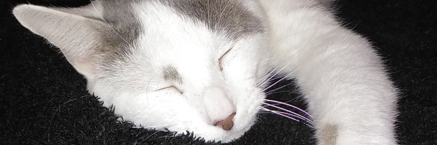 Carl the Bald banner