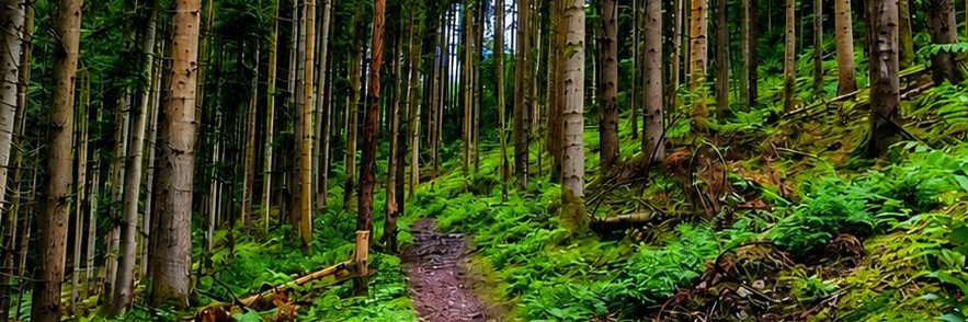 heiko759's profile banner image