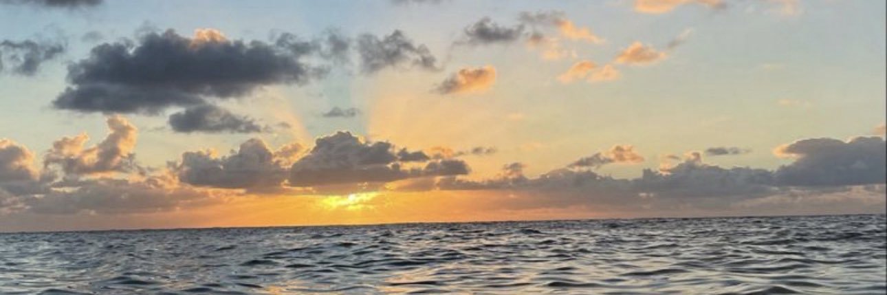 Ginevra Musiari banner