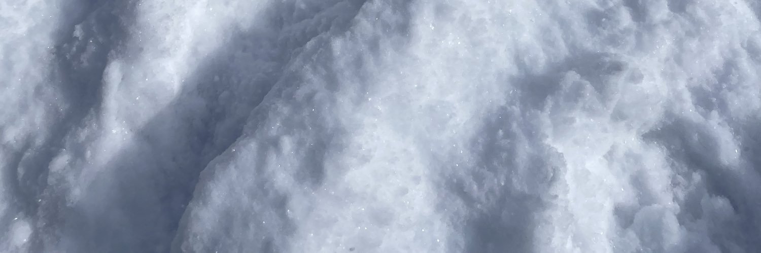 A. Tad North banner