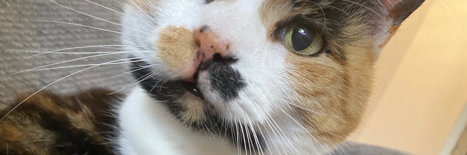 busyberil's profile banner image