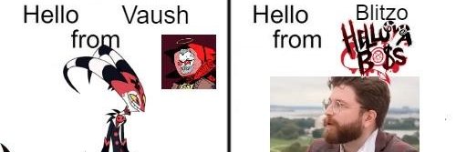 Vaushite banner