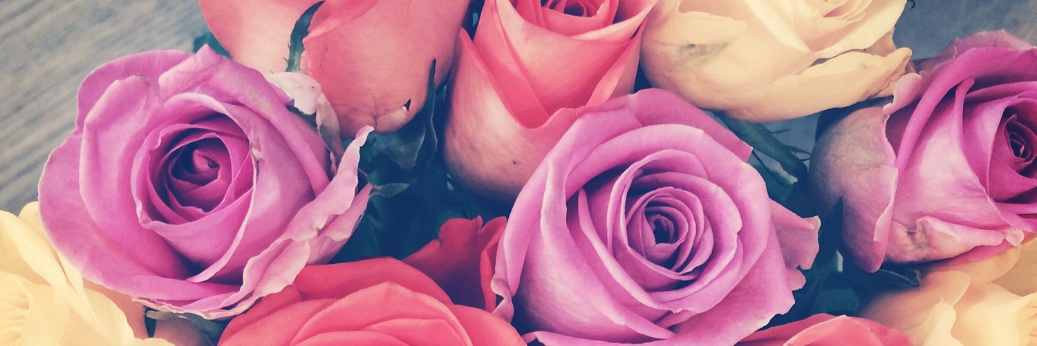 Sadaf_B's profile banner image