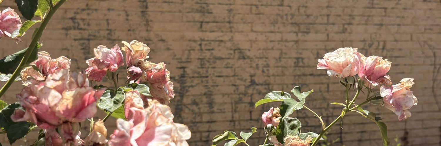 edeninbloom's profile banner image