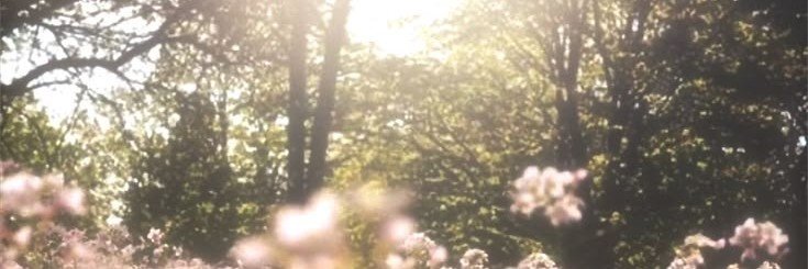 FyuLuli33630's profile banner image
