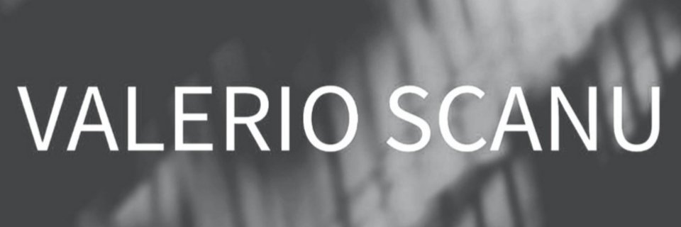 claudia pulli banner