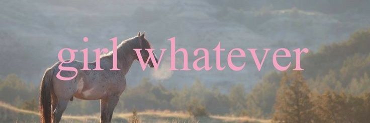 kitty banner