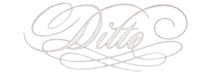 sh✩n saw bts from a boat 🪭 banner