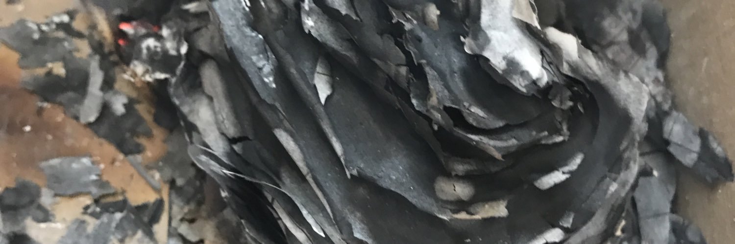 Sistry's profile banner image