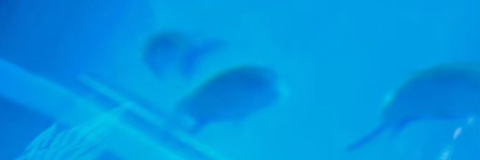 RionaXi19087's profile banner image