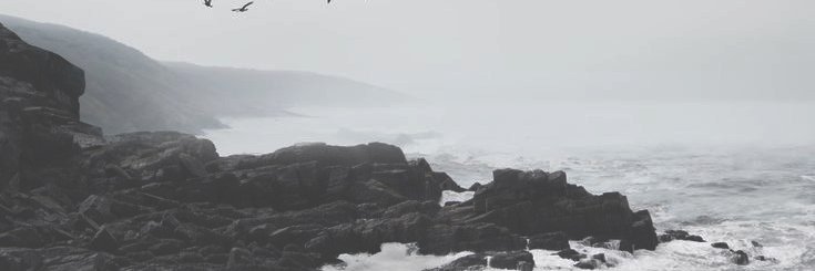 rhdujin's profile banner image