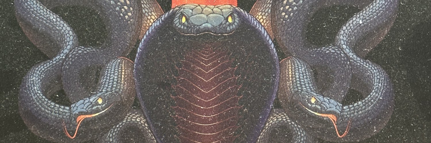ReverendNullan's profile banner image