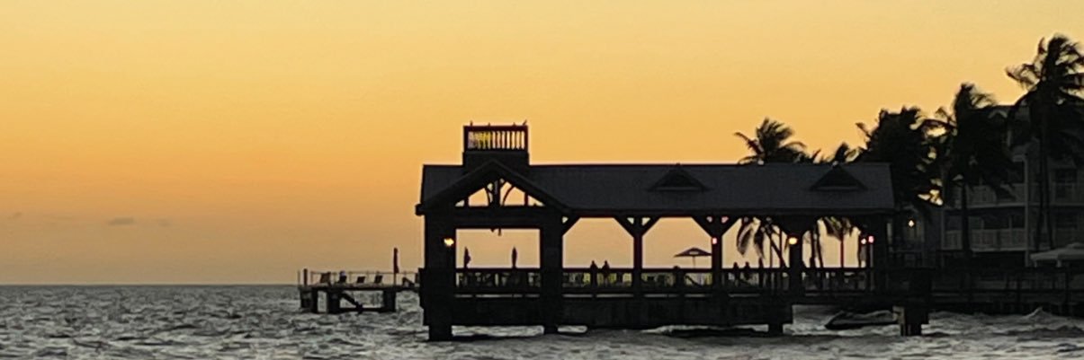 . Michael @Apexvector banner