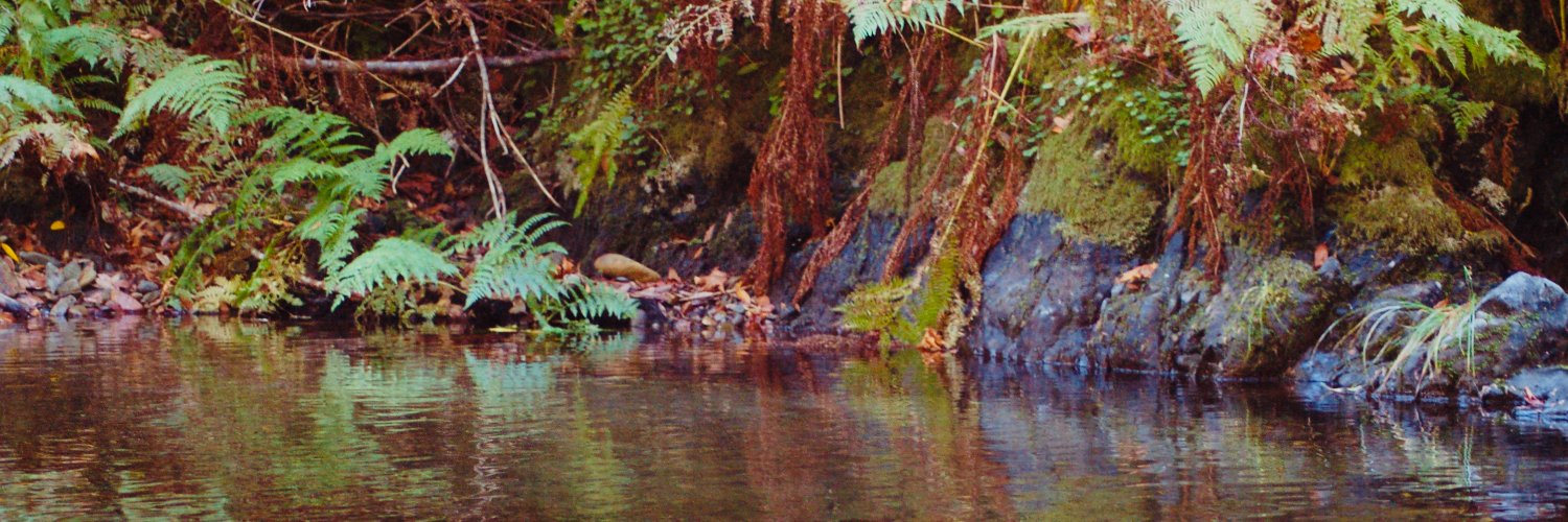 strongheart70's profile banner image