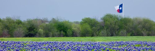 SSBlueClub's profile banner image