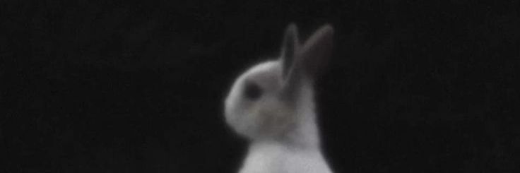 ★ banner