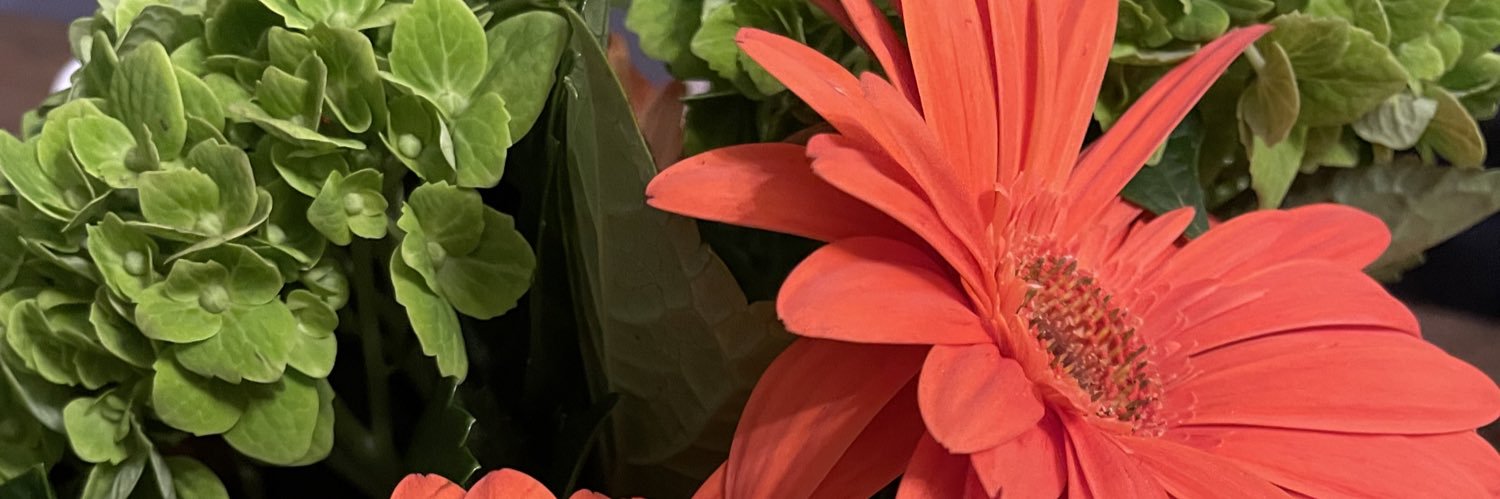 thinamae's profile banner image