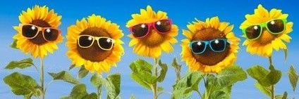 DeeDee Dexter banner