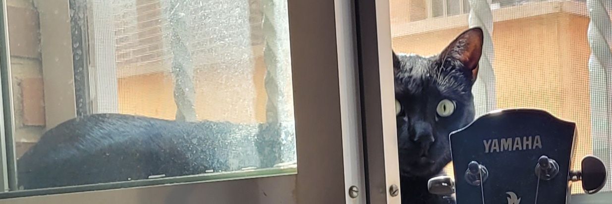 Muerte3☠☠☠ banner