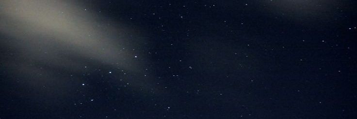 다리엘 banner