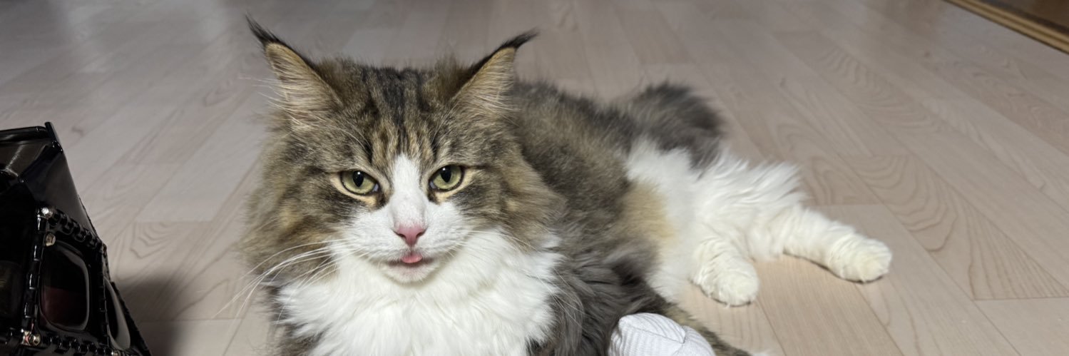 いりえもん banner