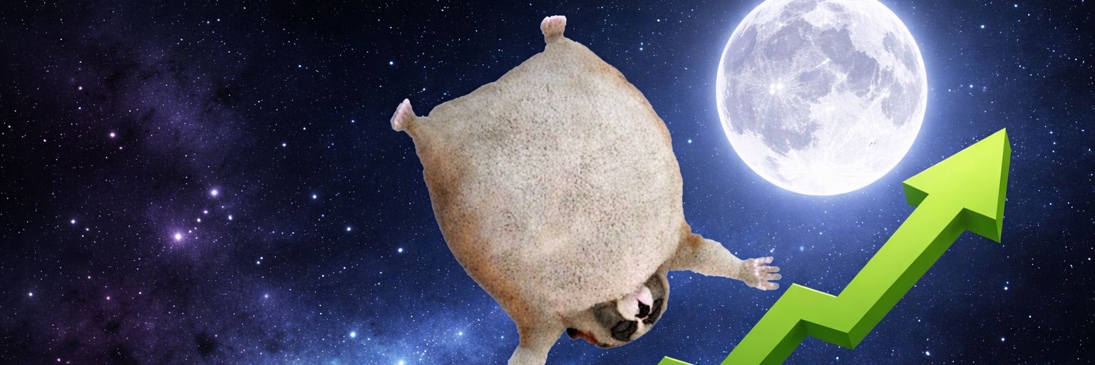 目力先輩🐒🏆️ banner